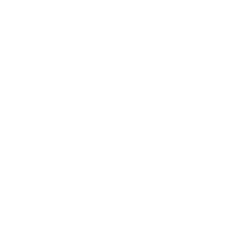 Woer
